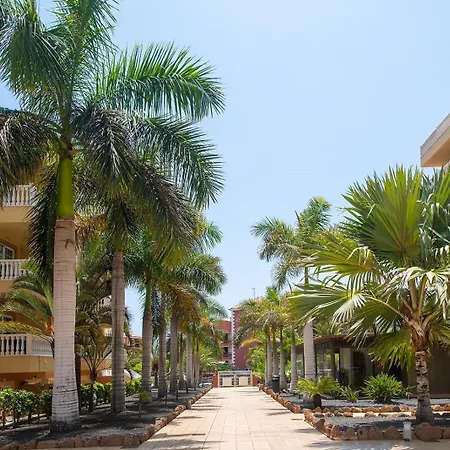 Apartman Mar Primavera Arona